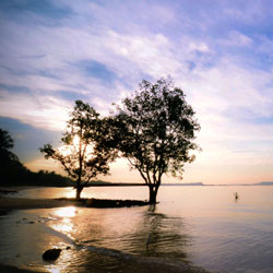 CC在线压力测试